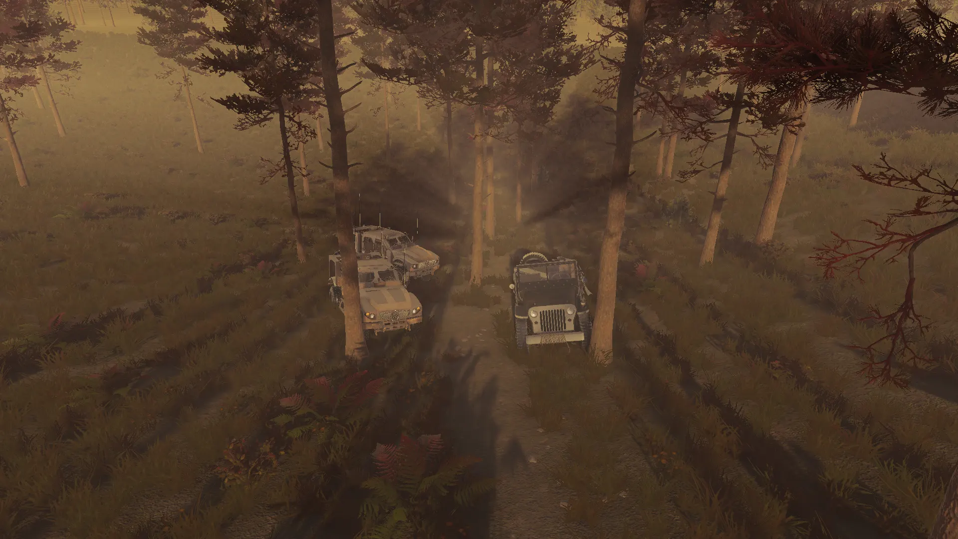 Terrain — exploration
