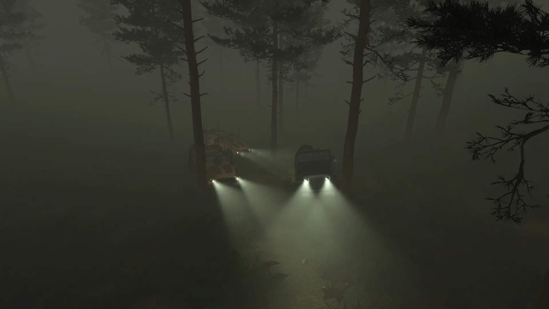 Environnement — brouillard