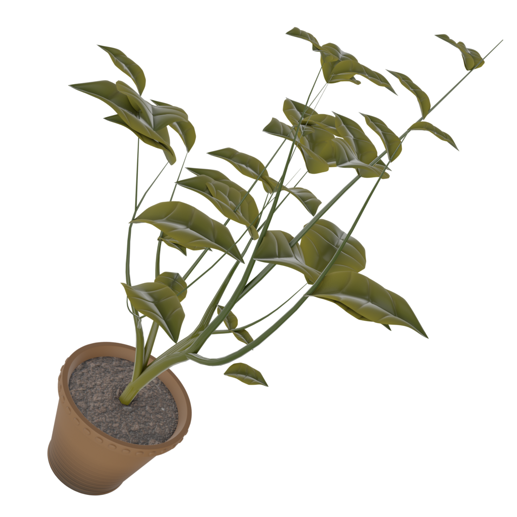 Herbe cultivée en pot, ressource médicale